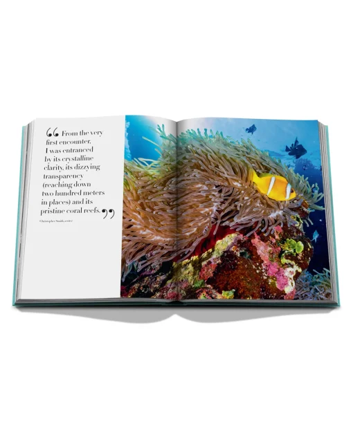 Assouline Boek Saudi Arabia: Red Sea Diversen