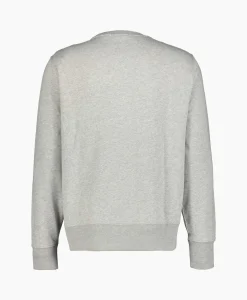 Ralph Lauren Sweater Paint Bear Grijs